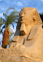 Wakacje w Egipcie