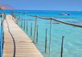 Egipt Wyc. objazdowe Wyc. objazdowe Sharm Holiday Tour z Kairem