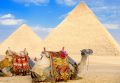 Egipt Wyc. objazdowe Wyc. objazdowe Tylko dla Ciebie – Sekrety Faraonów