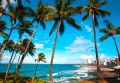Brazylia Wyc. objazdowe Wyc. objazdowe Wakacje Pod Palmami! Brazylia - Salvador